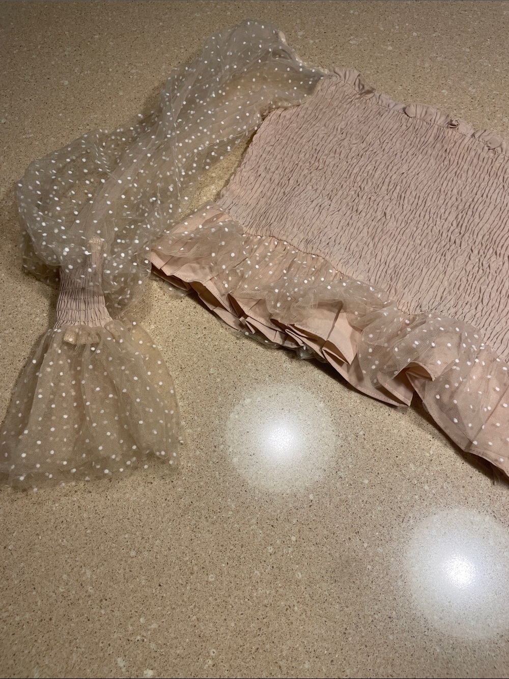 Sheer Polka Dot Ruffle Crop Top in Blush